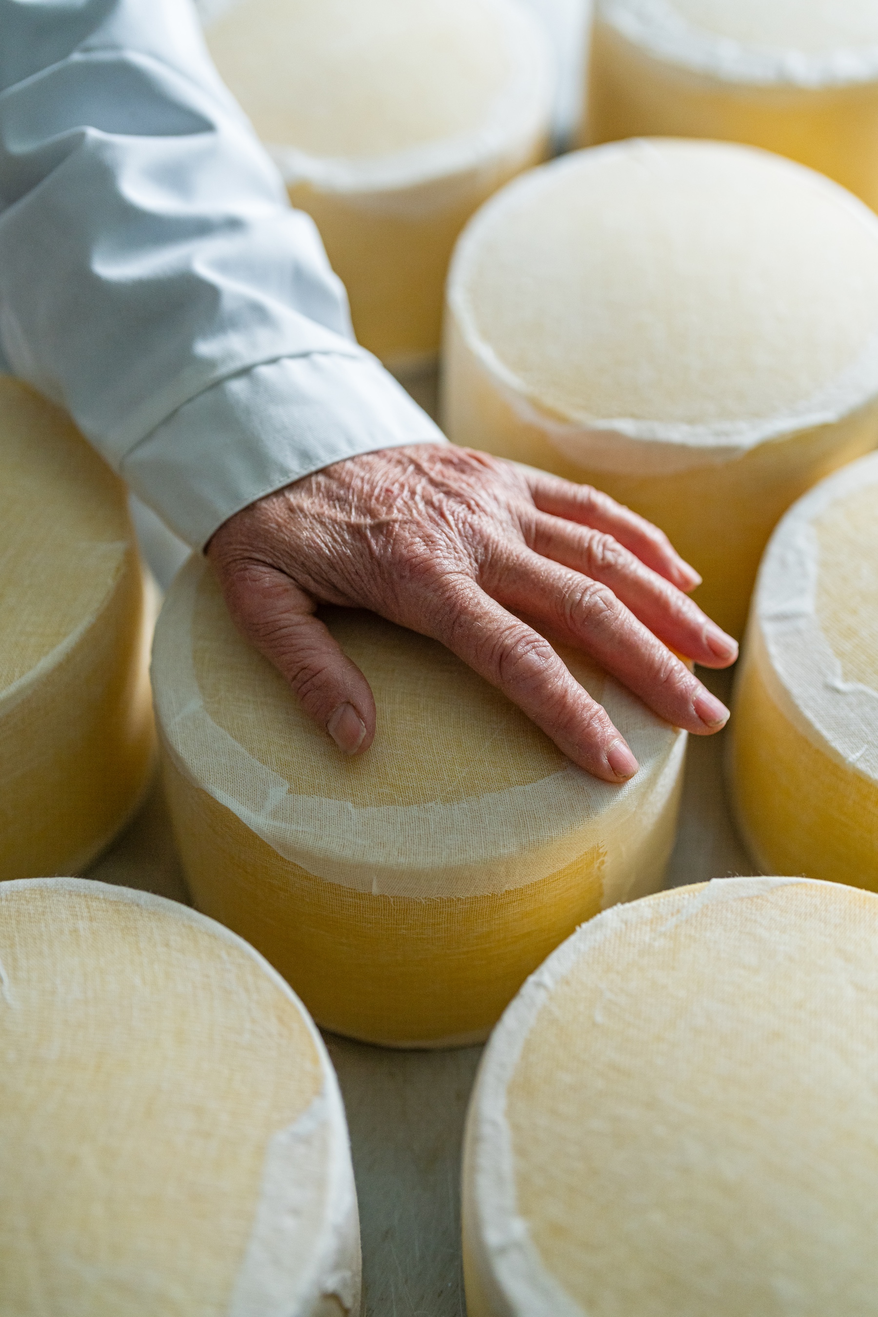 Dunlop Dairy cheeses