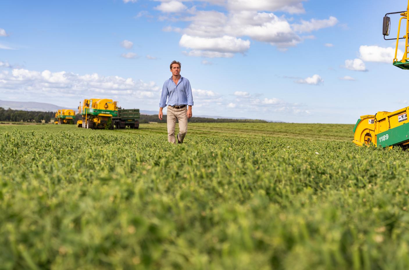 person walking through a field 