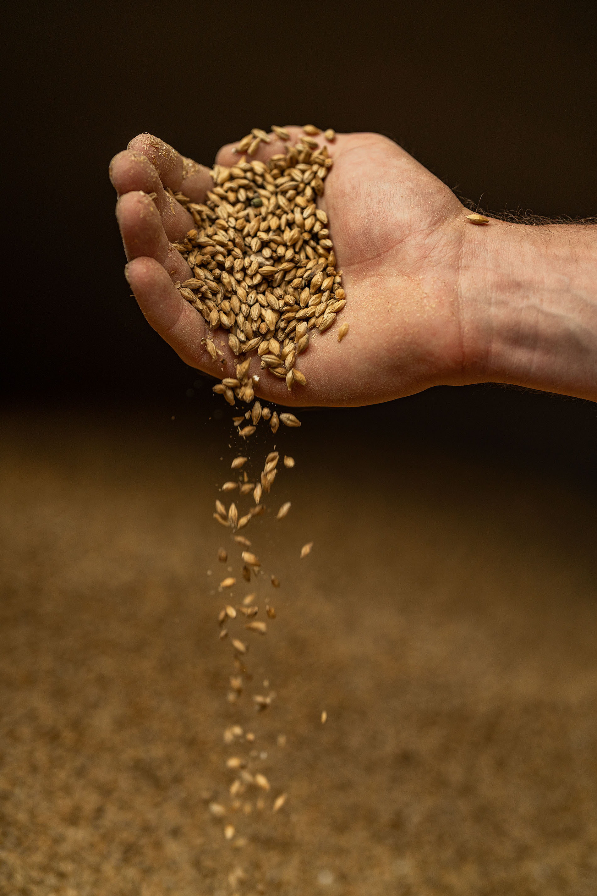 person holding grain