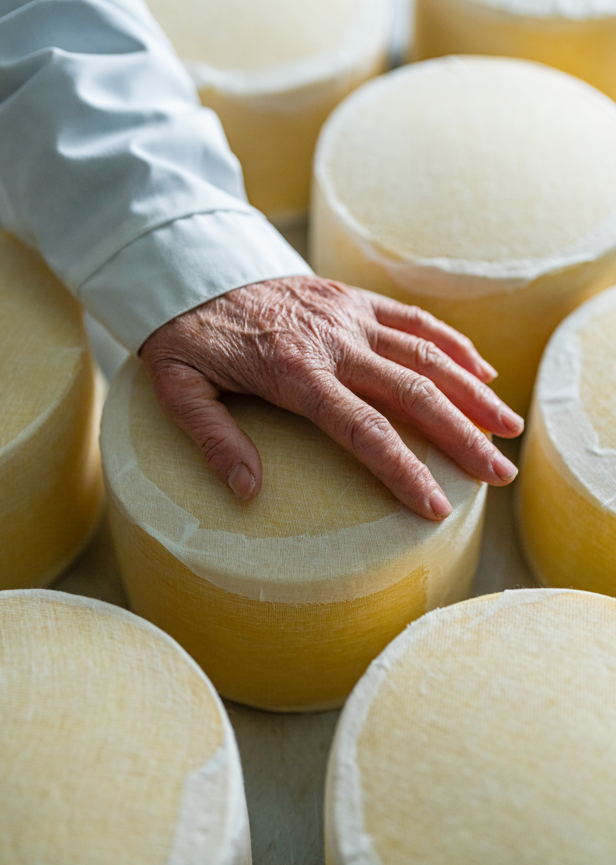 person with their hand on top of some cheese