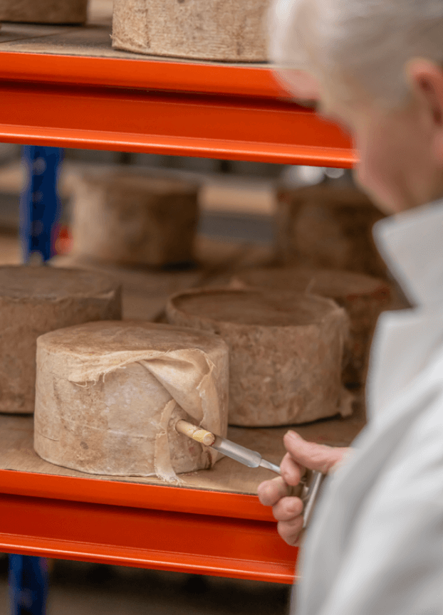 person taking a sample of some cheese