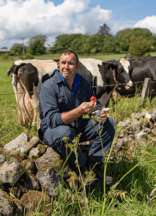 man sitting beside field 