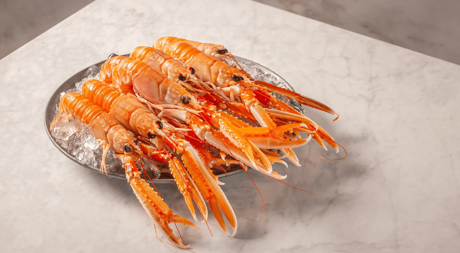 langoustines