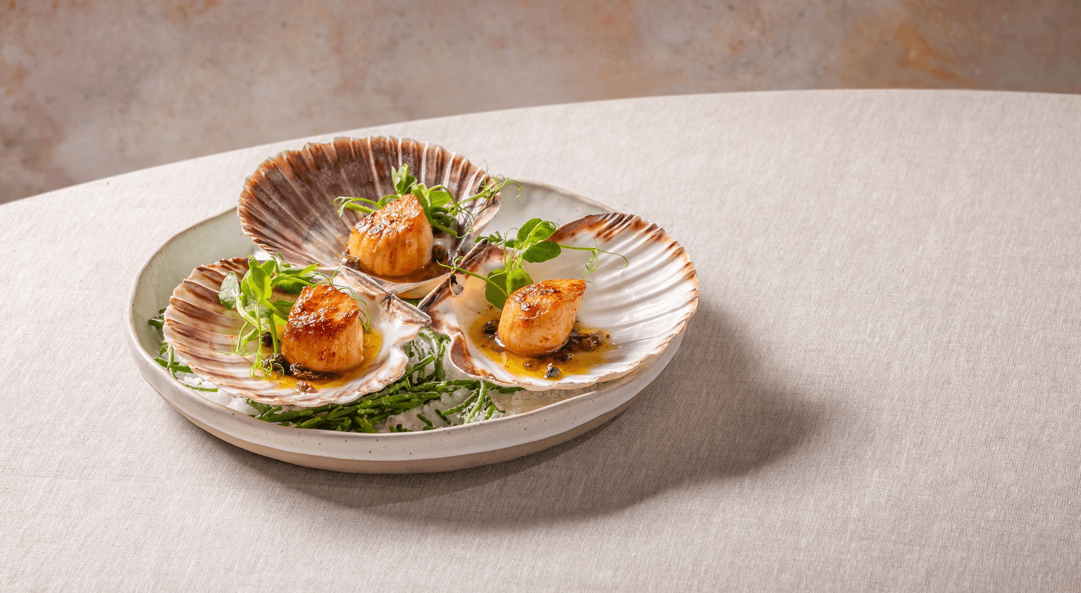 scallops